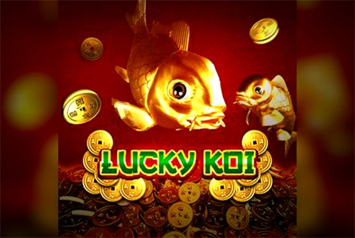 Lucky Koi